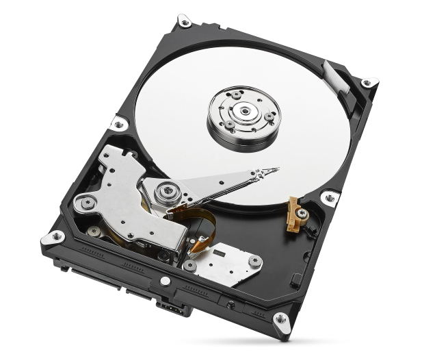 SEAGATE SkyHawk 1TB 3,5'' ST1000VX005 - 1442742 - zdjęcie 2